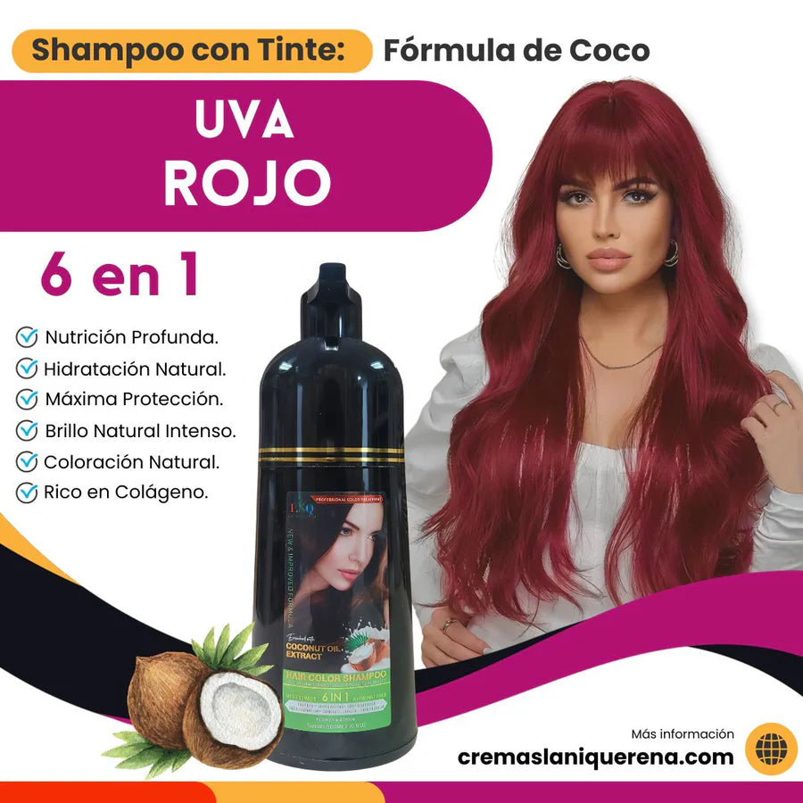 Shampoo con Tinte 6 en 1 con Aceite de Coco – La Niquereña (500 ml)